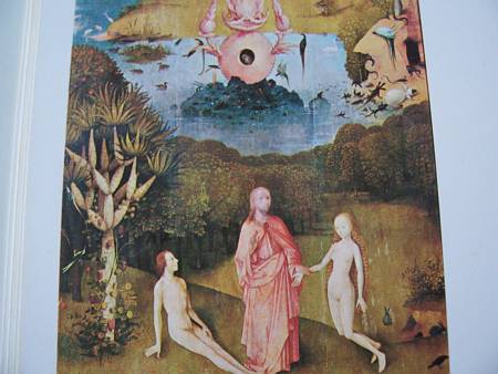 Image Image