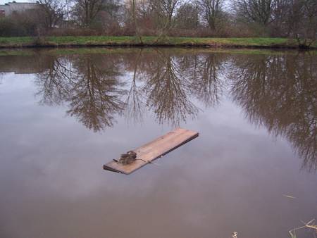Image Image
