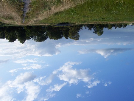 Image Image