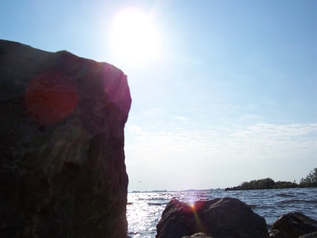 Image Image
