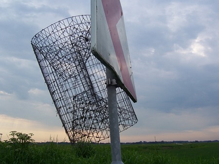 Image Image