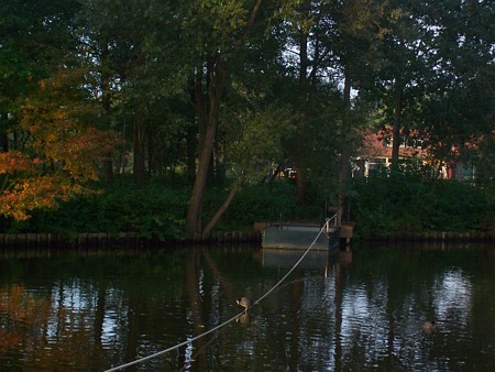 Image Image