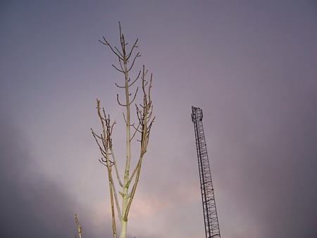 Image Image