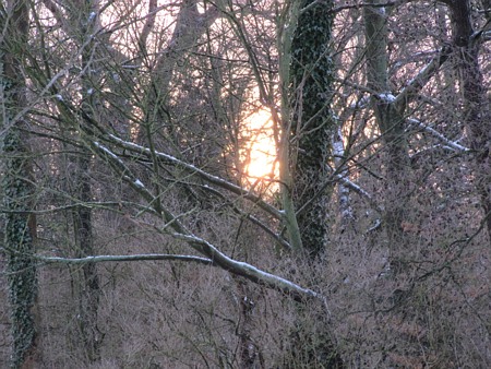 Image Image