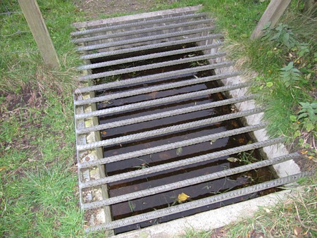 Image Image