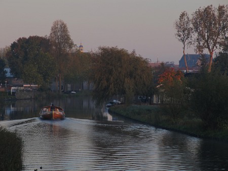Image Image