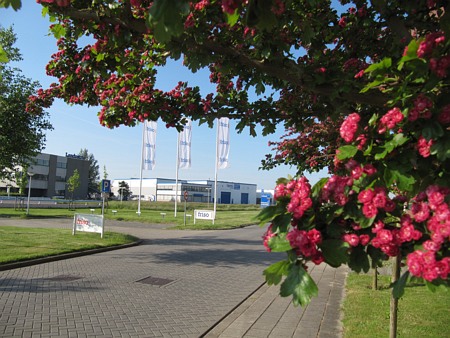 Image Image