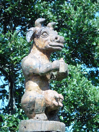 Image Image